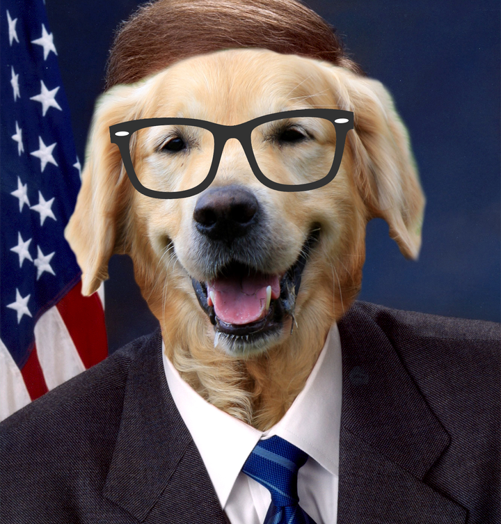 Nowhere in the Constitution Does it Say a Dog Can't Run for Senate: My Review of Airbud 14: The Endless Fillibarker